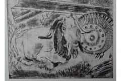 Ram