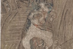 kitten