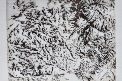 Les-Montagnes-monochrome-2025