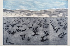 Les-Vignes-2024