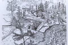 IMG_20200728_124302