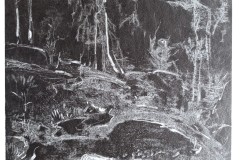 IMG_20200728_124315