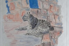IMG_20200728_124458