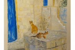 cats
