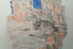 leopard
